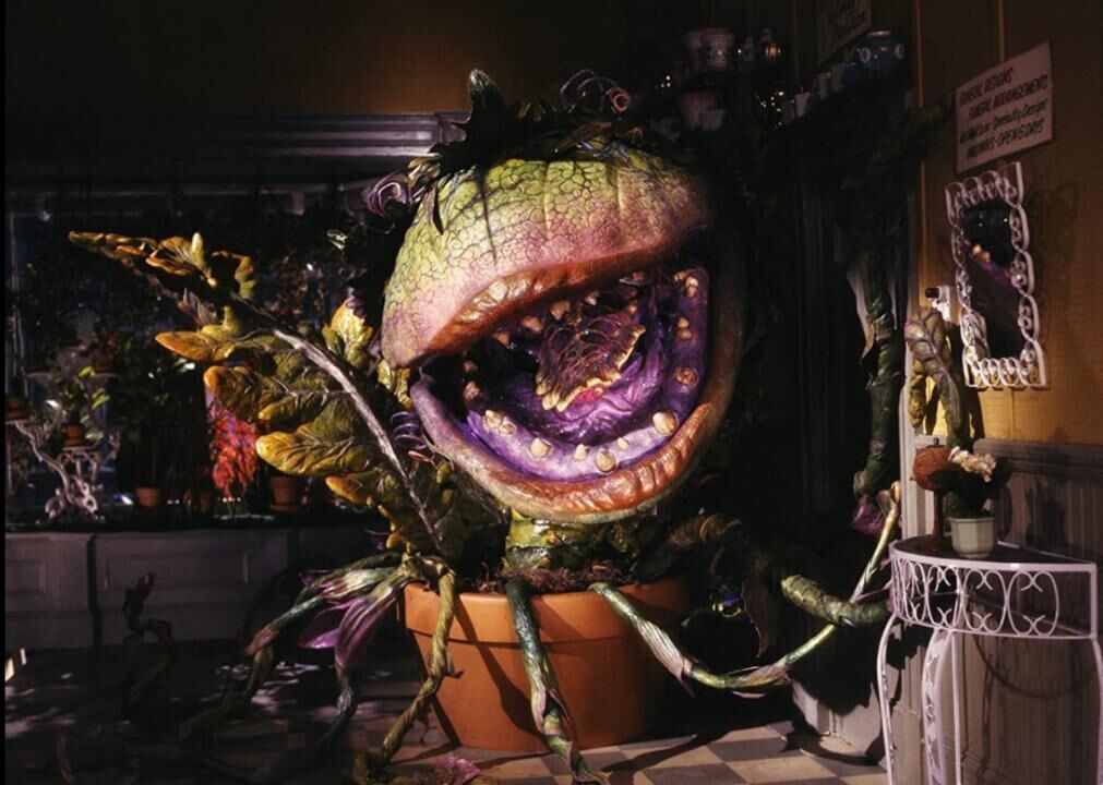 #59. Little Shop of Horrors (1986)